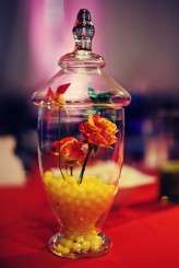 Theme-Park-Wedding-Tinywater-Photography_0060