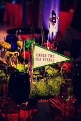 Theme-Park-Wedding-Tinywater-Photography_0071