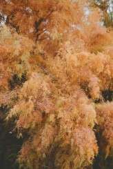 adventure_shoot_galaxie_andrews03