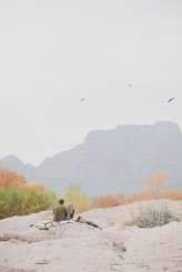 adventure_shoot_galaxie_andrews16