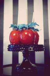 circus-truelovephoto.com0113