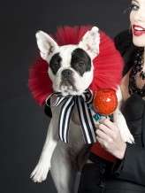 circus-truelovephoto.com0128