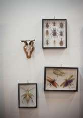 craftyvintage_whitewallphotography (2 of 52)