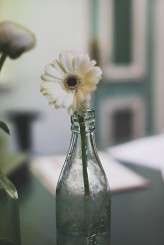 elegant 60s wedding_James_Melia_Photography_008