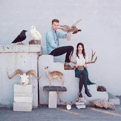 taxidermy_mieshphotography (1)