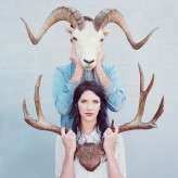 taxidermy_mieshphotography (2)