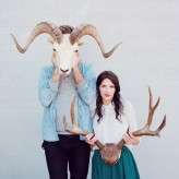 taxidermy_mieshphotography (3)