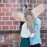 taxidermy_mieshphotography (9)