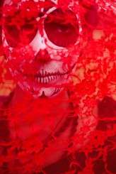 Day_Of_The_Dead_Ashley_Forrette035