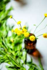 MA Minecraft Wedding The Goodness-040