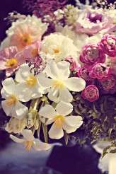 Marie Antoinette Bridal_Tamiz Photography_36