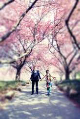 cherryblossoms_llstylephoto_leila_jacue (39)