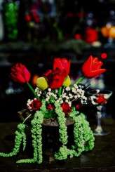 dark-circus_tinywater-photography-0028