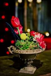 dark-circus_tinywater-photography-0029