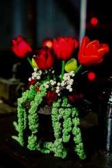 dark-circus_tinywater-photography-0030