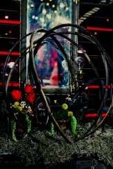 dark-circus_tinywater-photography-0034