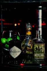 dark-circus_tinywater-photography-0035