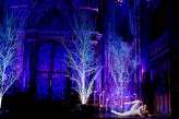 dramatic gothic wedding0015h