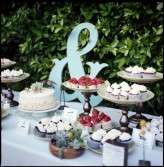 Palm_Springs_Indie_Film_Estate_Wedding_rad_and_In_Love-88