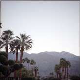 Palm_Springs_Indie_Film_Estate_Wedding_rad_and_In_Love-89