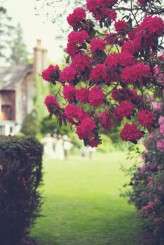 civil-partnership-outdoor-wedding 063