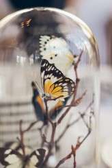 nicole-ben-wedding-TIAL-81