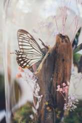 nicole-ben-wedding-TIAL-83