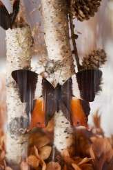 nicole-ben-wedding-TIAL-85