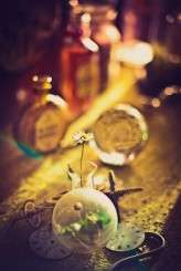 Steampunk Bridal – Chemistry Ohotography