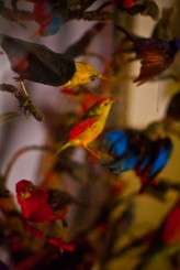 Steampunk Bridal – Chemistry Ohotography