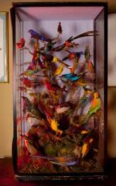 Steampunk Bridal – Chemistry Ohotography