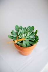 Colorful DIY Whimsical Tent Wedding_LindsayMaddenPhotographyIII-44