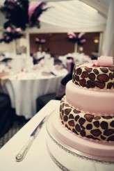 EleRaphAssassynation-17