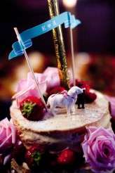 Elodie+Alexis AshtonJeanPierre13