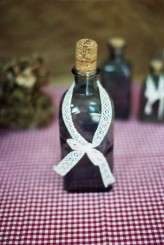 Elodie+Alexis AshtonJeanPierre29