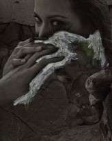 FRANCIS & MAYONE 28_Mangored.jpg