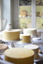 MattKellyann_LoveMeDo074a