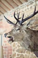 Nic_and_Will_HiRes002