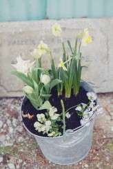 Quirky Cool Homegrown Wedding Robbins Photographic Lee Robbins London Sussex -156