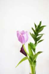 Suzy_&_Christian_-_Wedding1280