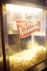 Vintage_Cinema_Wedding_TangerineTreePhotography1022