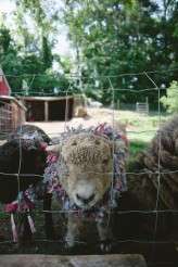 farmwedding_lydiajane-3