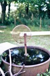 french engagement giant animal heads ashton jp photo3