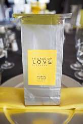 modern-yellow-grey-airplane-wedding-ENV-Photography-Edmonton-0094