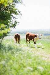 pirate-themed-outdoor-wedding-17