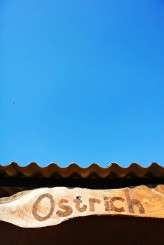 Boys Detail 2 Sign FIONA CLAIR PHOTOGRAPHY