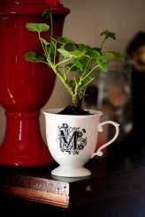 CountryBarnWedding_YaritzaColon-1