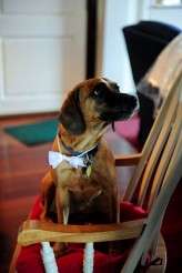 CountryBarnWedding_YaritzaColon-7