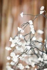 Decor 9 FIONA CLAIR PHOTOGRAPHY