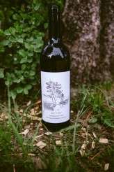 Lake_Tahoe_Wedding_Photography_102